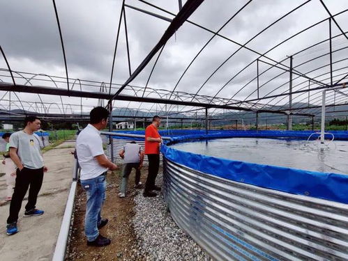 臺風“煙花”來襲，三門縣快速行動確保畜牧漁業飼料供應穩定