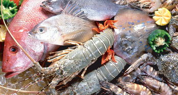平陽人有口福了！8月1日起新鮮海產上市，各類海魚豐富餐桌