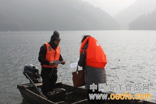 江山市多措并舉筑牢節前安全防線，守護漁業生產與市場質量雙安全