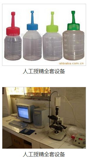 九宮格網絡營銷 助力中小企業數字化騰飛，共筑畜牧漁業飼料銷售新生態